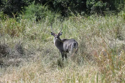 DSC_4012 (Large).JPG